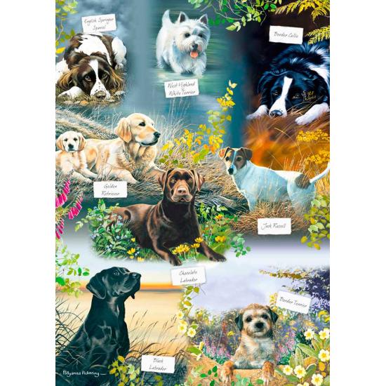 Puzzle Otter House Man's Best Friend 1000 Peças
