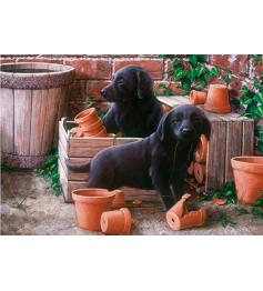 Puzzle Otter House Os Filhotes Bill e Ben 500 Peças