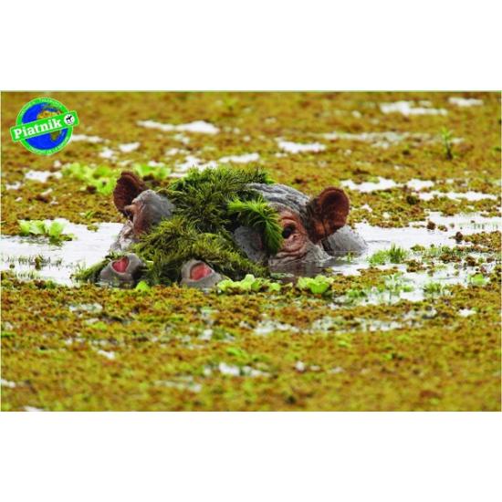 Puzzle de hipopótamo Piatnik 1000 peças