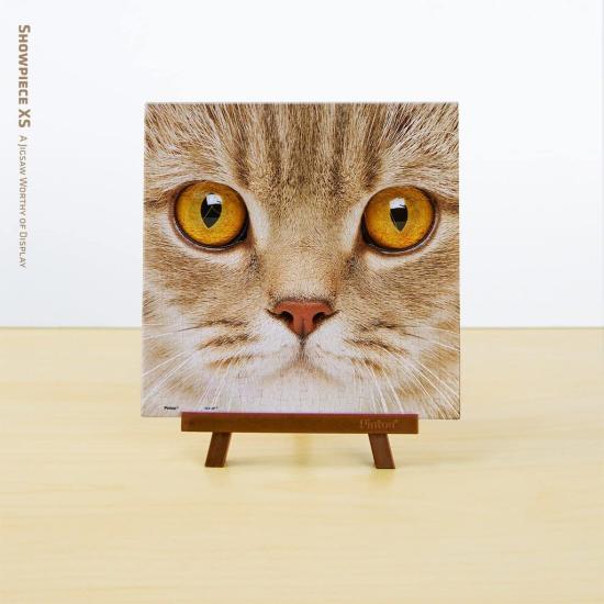Puzzle de gato Pintoo close-up MINIATURA 256 peças
