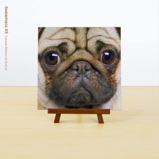Puzzle Pintoo Close-Up Pug MINIATURA 256 Peças