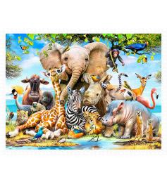 Puzzle Pintoo Africano Sorriso 1200 peças