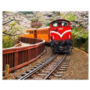 Puzzle Pintoo Forest Train no Parque Nacional Alishan de 500 Pz