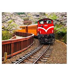 Puzzle Pintoo Forest Train no Parque Nacional Alishan de 500 Pz