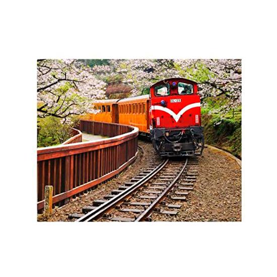 Puzzle Pintoo Forest Train no Parque Nacional Alishan de 500 Pz
