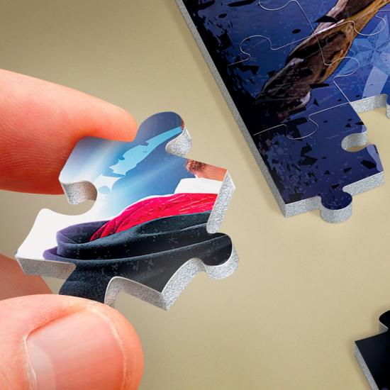 Puzzle Wrebbit Hermione Granger 500 peças