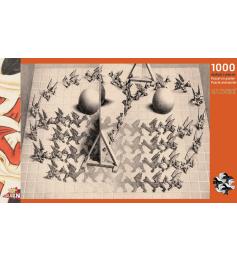 Puzzle de espelho mágico de 1000 peças