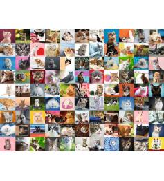 Puzzle Ravensburger 99 gatos de 1500 peças