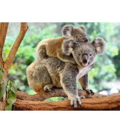 Puzzle Ravensburger Koala Love XXL 200 peças