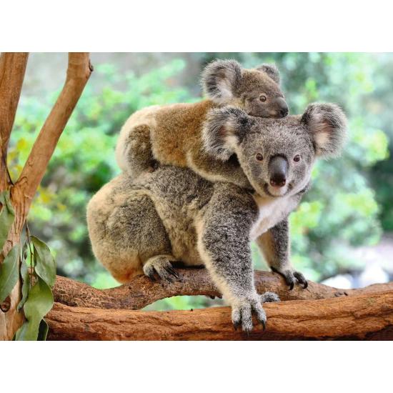 Puzzle Ravensburger Koala Love XXL 200 peças