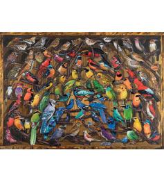 Puzzle Ravensburger Arco-íris de Pássaros de 1000 Peças