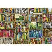 Puzzle da Biblioteca Mágica Ravensburger I 1000 peças