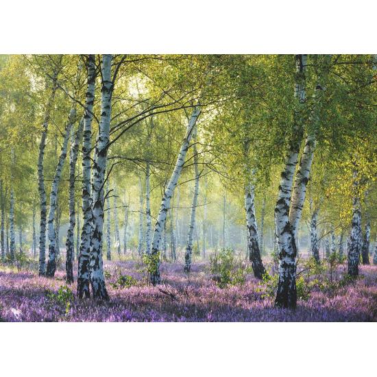 Puzzle Ravensburger Birch Forest 1000 peças Puzzle Ravensburger Birch Forest 1000 peças