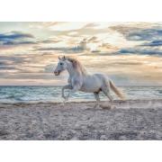 Puzzle Ravensburger Cavalo Branco 500 Peças