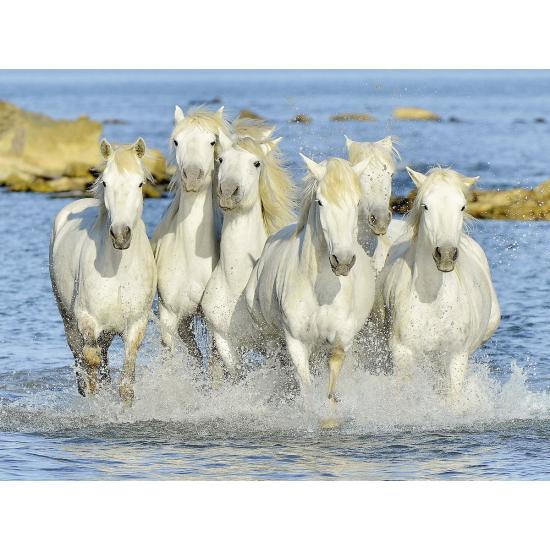 Cavalos de Puzzle Ravensburger na praia 1500 peças Cavalos de Puzzle Ravensburger na praia 1500 peças