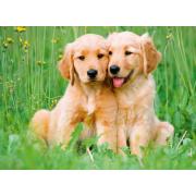 Puzzle Ravensburger Cachorros Golden Retriever 500 Peças