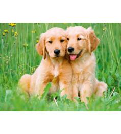 Puzzle Ravensburger Cachorros Golden Retriever 500 Peças