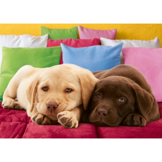 Puzzle filhotes de labrador Ravensburger 1000 peças Puzzle filhotes de labrador Ravensburger 1000 peças