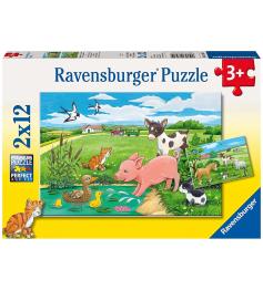 Cachorros Ravensburger Puzzle no campo 2x12 peças