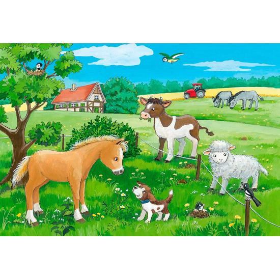Cachorros Ravensburger Puzzle no campo 2x12 peças Cachorros Ravensburger Puzzle no campo 2x12 peças