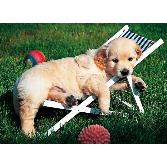 Cachorros Golden Retriever Ravensburger Puzzle 500 peças