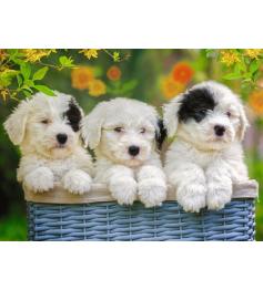 Puzzle  Ravensburger Cachorros Fofinhos XXL de 200 peças