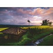 Puzzle Ravensburger Campos de arroz em Bali  de 500 peças