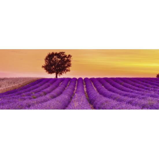 Puzzle Ravensburger Lavender Fields 1000 Peças