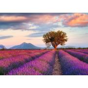 Puzzle Ravensburger Lavender Fields 1000 Peças