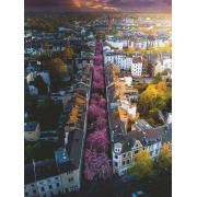 Puzzle Ravensburger Cidade de Bonn em Flor de 1500 peças