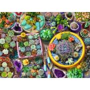 Puzzle Ravensburger Coleção De Cactos de 500 Peças