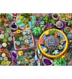Puzzle Ravensburger Coleção De Cactos de 500 Peças