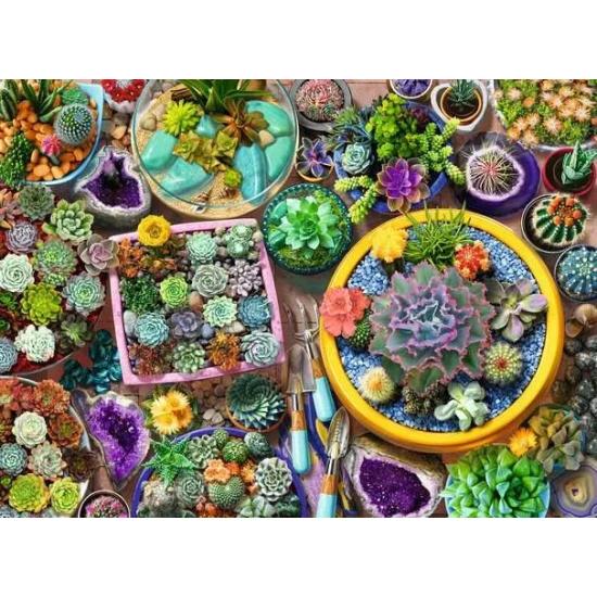 Puzzle Ravensburger Coleção De Cactos de 500 Peças