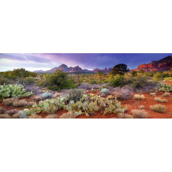 Puzzle do deserto mágico Ravensburger 1000 peças