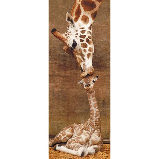 Puzzle Ravensburger O Primeiro Beijo 1000 Peças