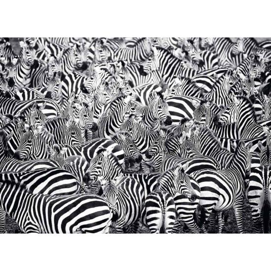 Ravensburger Puzzle O Desafio Zebra 500 Peças
