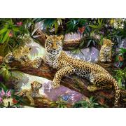 Puzzle Ravensburger Família de Leopardos 1000 Peças