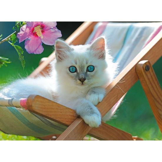 Puzzle Ravensburger Gatinho Branco XXL de 200P