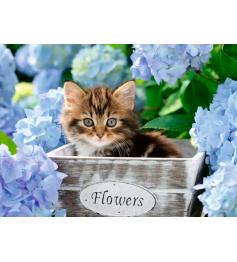 Puzzle Ravensburger Gatinho XXL de 300 peças