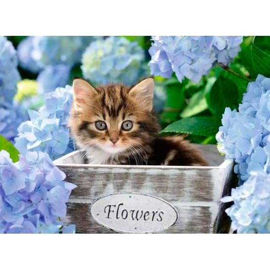 Puzzle Ravensburger Gatinho XXL de 300 peças