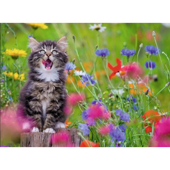 Ravensburger Puzzle Gatinho em um Mar de Flores 300 peças XXL