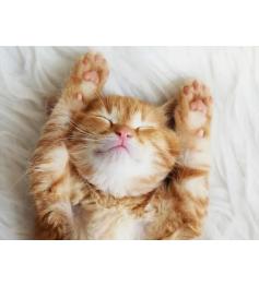 Puzzle Ravensburger Gatinho Sonhador 500 Peças