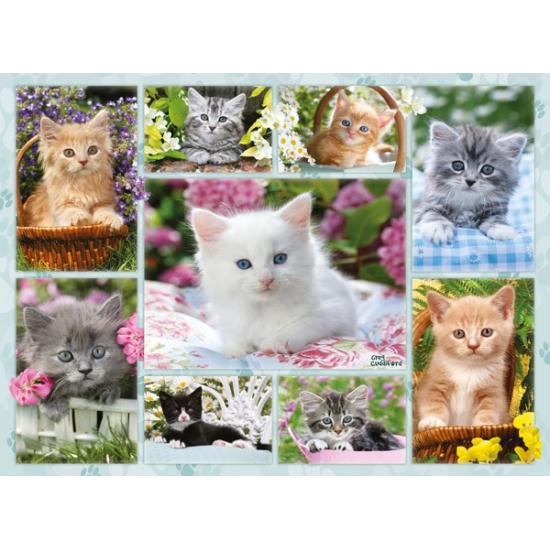 Gatinhos de Puzzle Ravensburger nas cestas 500 peças
