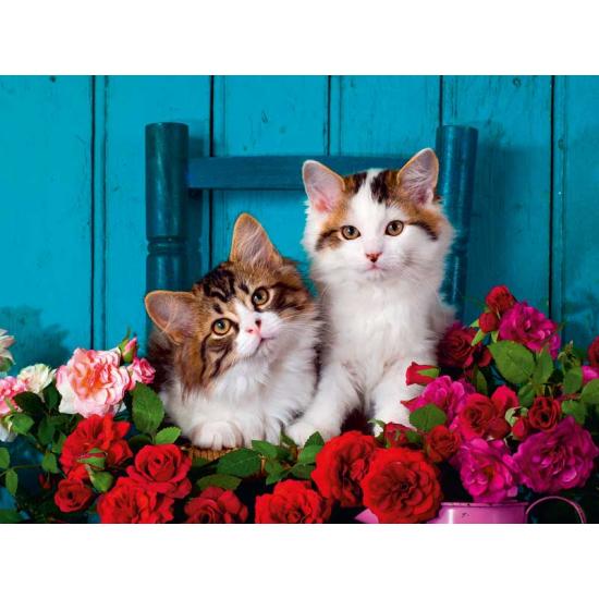 Ravensburger Puzzle Gatinhos e Rosas 500 peças XXL Ravensburger Puzzle Gatinhos e Rosas 500 peças XXL
