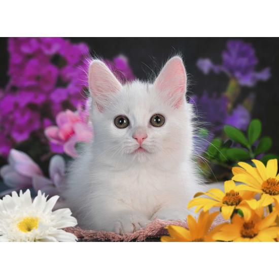 Puzzle Ravensburger Gato Brilhante XXL 100 Pçs