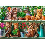 Ravensburger Puzzle Cats na Prateleira 500 Peças