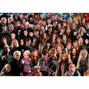 Puzzle Ravensburger Harry Potter Challenge 1000 peças