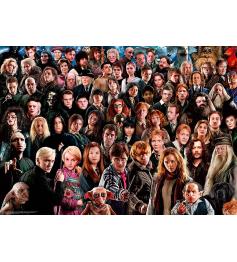 Puzzle Ravensburger Harry Potter Challenge 1000 peças