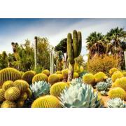 Puzzle Ravensburger Huntington Desert Garden, California 1000 Pç