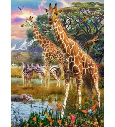 Ravensburger Puzzle Girafas na África XXL 150 Peças